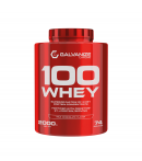 Galvanize Nutrition 100 Whey Protein Milk Chocolate